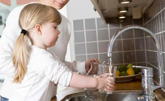 NaturalSof 6L Whole House Water Filtration System