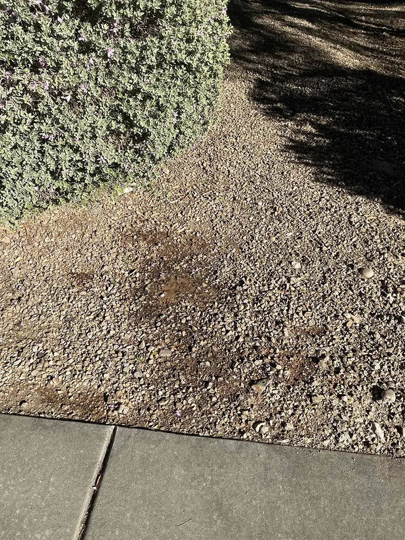 Fixing Water Main Leak Airzona