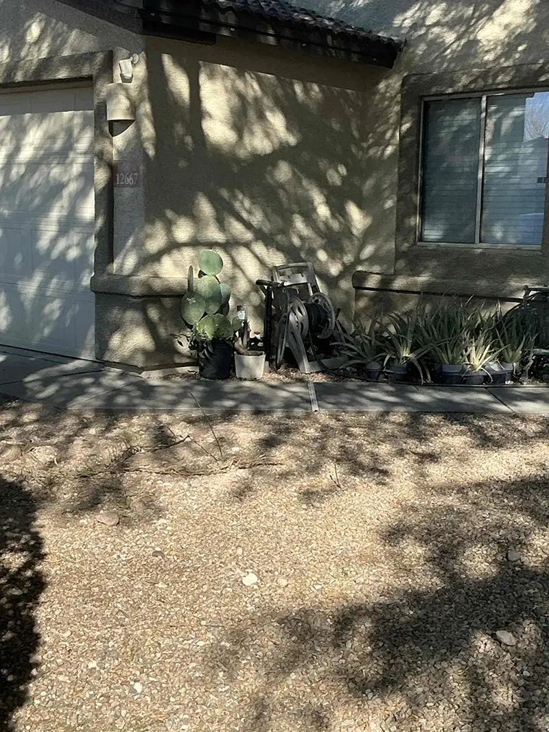 Fixing Water Main Leak Airzona